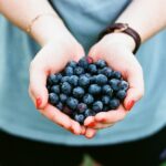 The most Mid-South Farm on Gin Show in them March